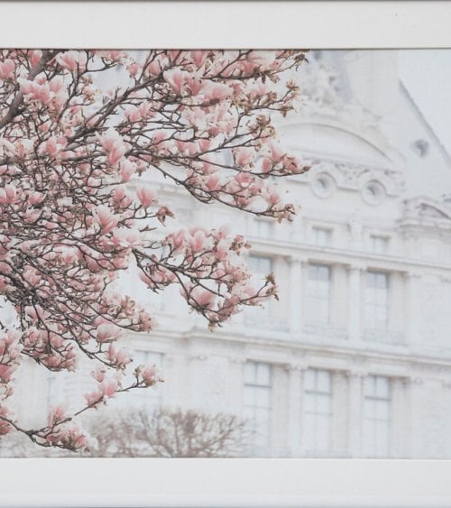 Lienzo Paisaje Floral 50x70 cm - Arte Decorativo Único