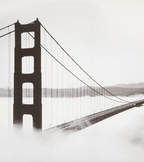 Lienzo Decorativo "Bully" de 60x90 cm para un Hogar Elegante