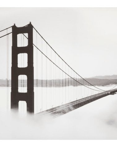 Lienzo Decorativo "Bully" de 60x90 cm para un Hogar Elegante