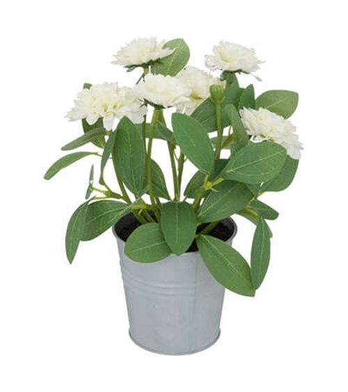 Flores en Maceta de 20 cm