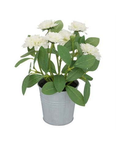 Flores en Maceta de 20 cm