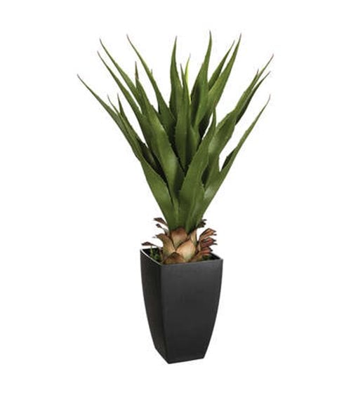 Palma Decorativa de 73 Cm