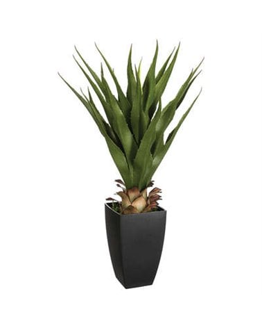 Palma Decorativa de 73 Cm