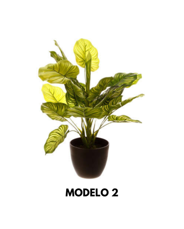 Planta Decorativa de 45 cm - Varios Modelos