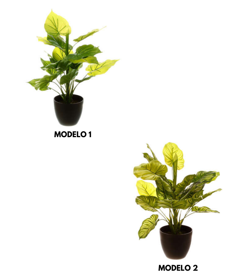 Planta Decorativa de 45 cm - Varios Modelos