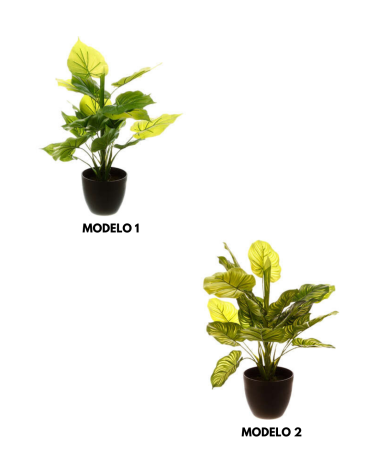 Planta Decorativa de 45 cm - Varios Modelos