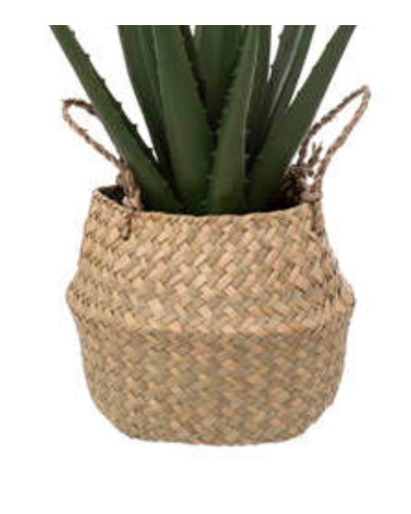 Planta Decorativa Aloe Vera de 37 cm