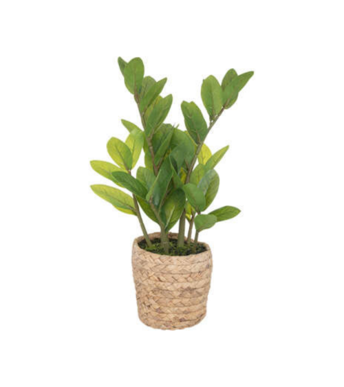 Planta Decorativa de 41 Cm