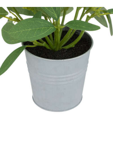 Flores en Maceta de 20 cm