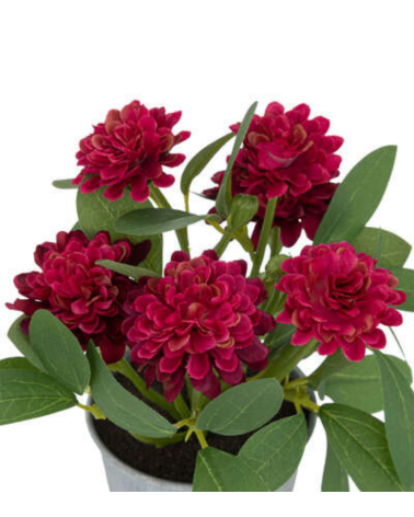 Flores en Maceta de 20 cm