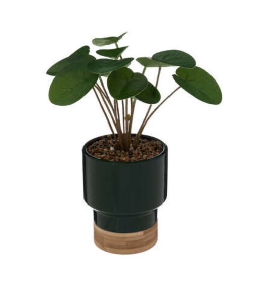 Planta Decorativa en Maceta Cerámica Verde de 26cm