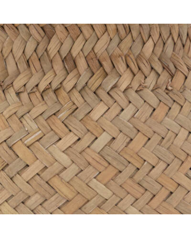 Planta Decorativa Jiling de 20cm