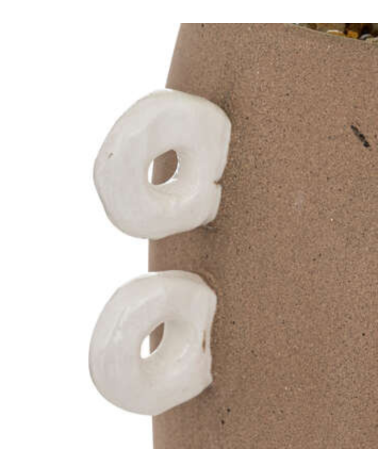 Planta Olme en Maceta Café de 21 cm