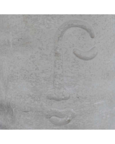Planta decorativa en Maceta Gris con Rostro de 26 cm