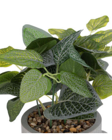 Planta decorativa en Maceta Gris con Rostro de 26 cm
