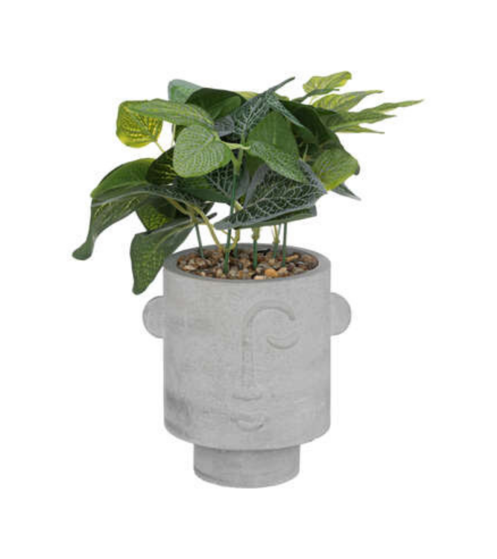 Planta decorativa en Maceta Gris con Rostro de 26 cm