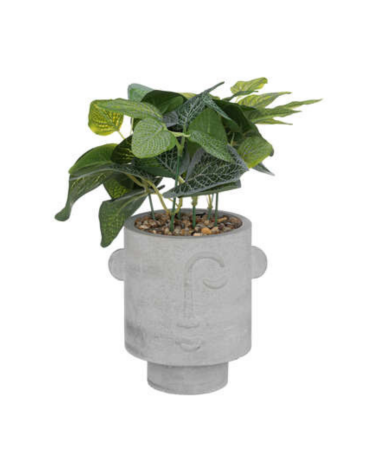Planta decorativa en Maceta Gris con Rostro de 26 cm