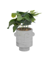 Planta decorativa en Maceta Gris con Rostro de 26 cm