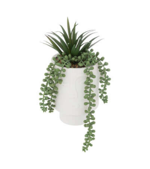 Planta decorativa en Maceta Blanca con Rostro de 25 cm