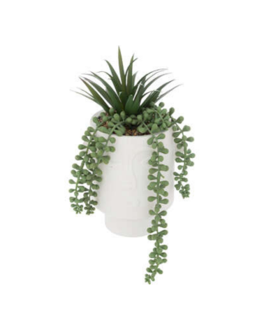 Planta decorativa en Maceta Blanca con Rostro de 25 cm