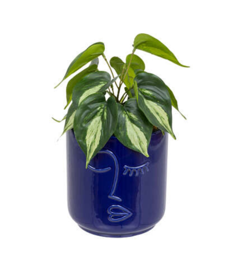 Planta Decorativa con Maceta de Cerámica de 30 cm