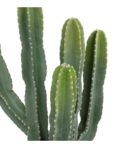 Cactus Decorativo de 117 cm