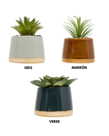 Cactus Decorativo de 12 cm - Varios Modelos