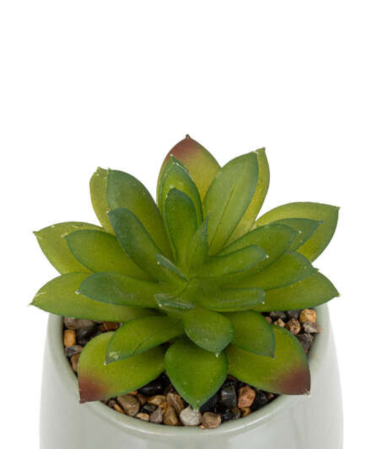 Cactus Decorativo de 12 cm - Varios Modelos