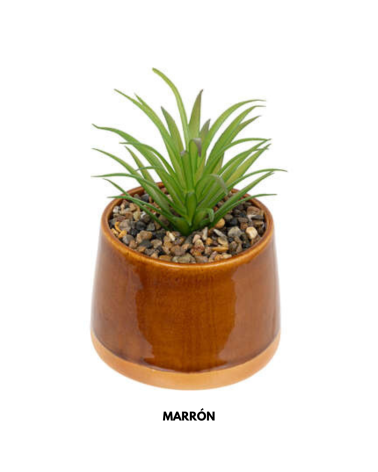 Cactus Decorativo de 12 cm - Varios Modelos