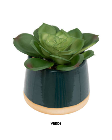 Cactus Decorativo de 12 cm - Varios Modelos