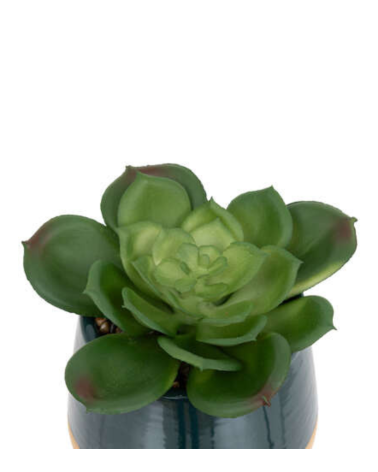 Cactus Decorativo de 12 cm - Varios Modelos