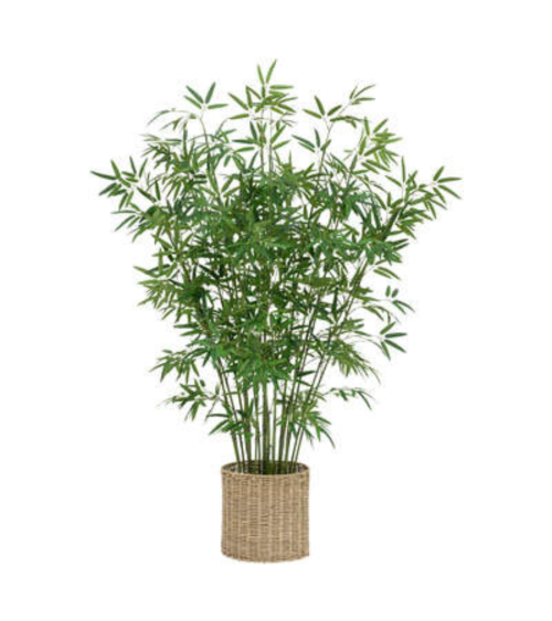 Bambú Decorativo de 150 cm