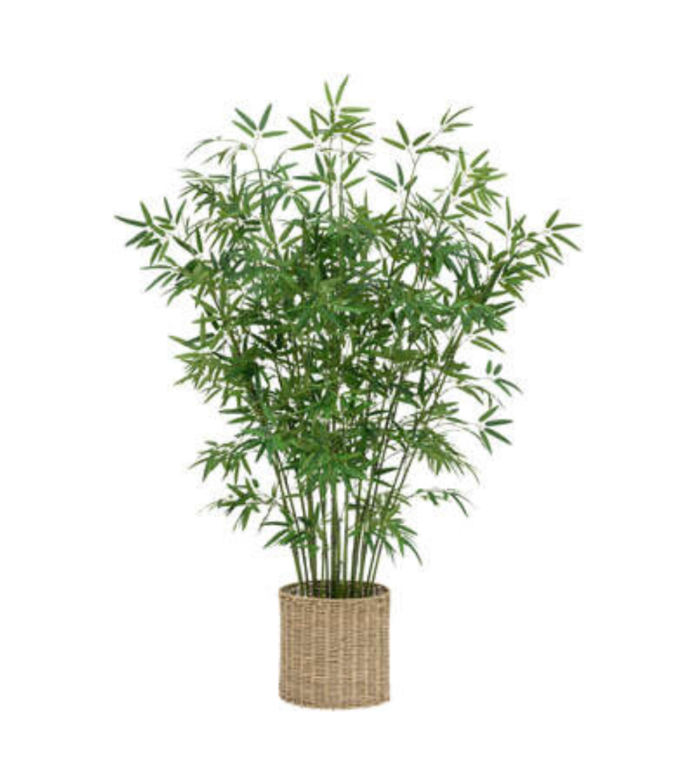 Bambú Decorativo de 150 cm