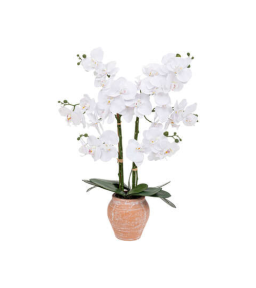 Orquídea Decorativa de 65 cm