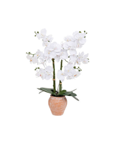 Orquídea Decorativa de 65 cm