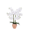 Orquídea Decorativa de 65 cm