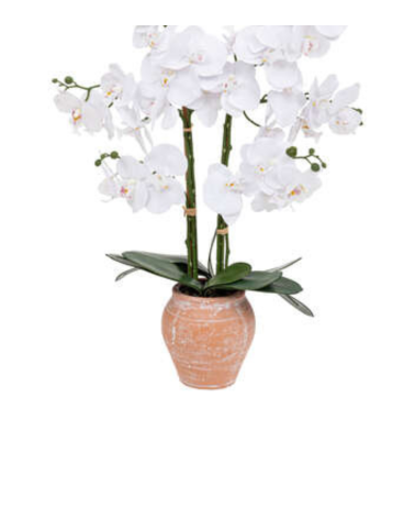 Orquídea Decorativa de 65 cm