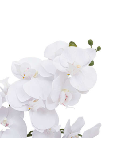 Orquídea Decorativa de 65 cm