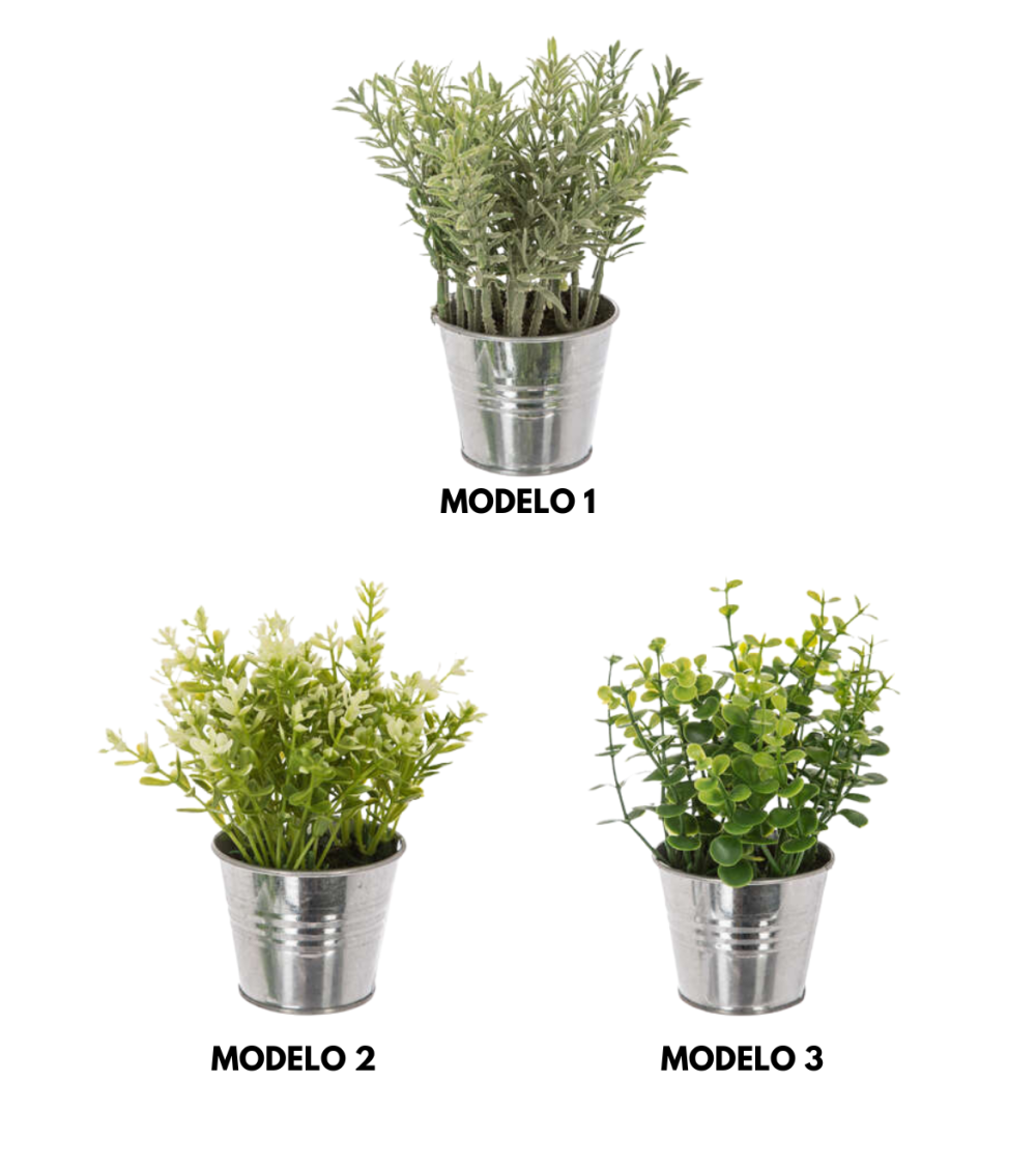 Planta Decorativa en Maceta de Zinc de 16 cm