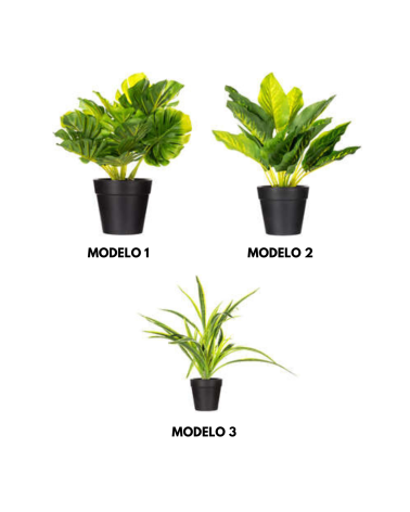 Planta Decorativa en Maceta Negra de 30cm - Varios Modelos