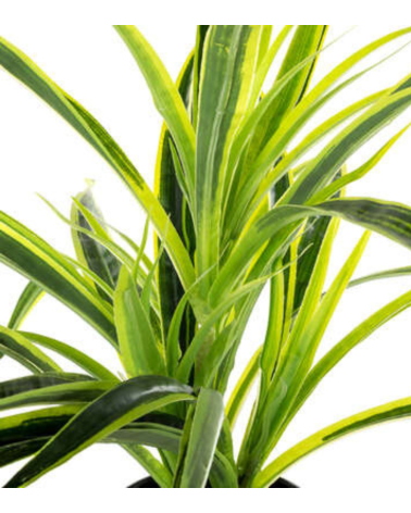 Planta Decorativa en Maceta Negra de 30cm - Varios Modelos