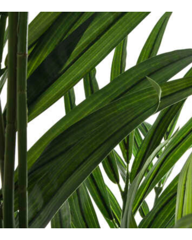 Palmera Decorativa de 230 cm