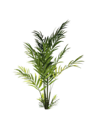 Palmera Decorativa de 230 cm