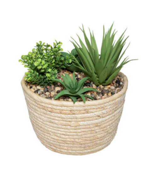 Planta Decorativa con Maceta Tejida de 19 cm