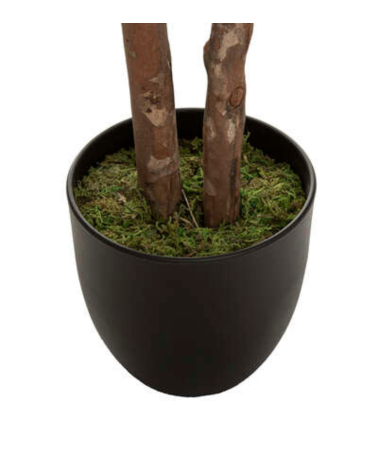 Planta Decorativa Schefflera de 130 cm