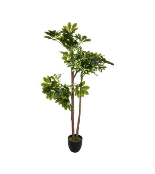 Planta Decorativa Schefflera de 130 cm