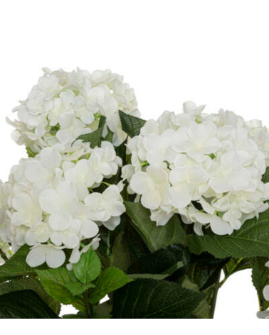 Planta Decorativa Hortensia de 60 cm