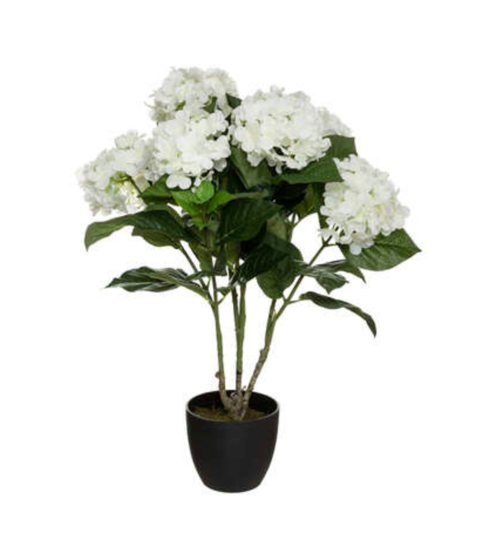 Planta Decorativa Hortensia de 60 cm