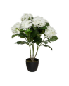 Planta Decorativa Hortensia de 60 cm