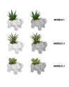 Planta Decorativa Con Maceta de Elefante de 10 cm - Varios Modelos